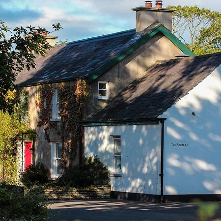 Ballylagan Organic Farm Straid  Buitenkant foto