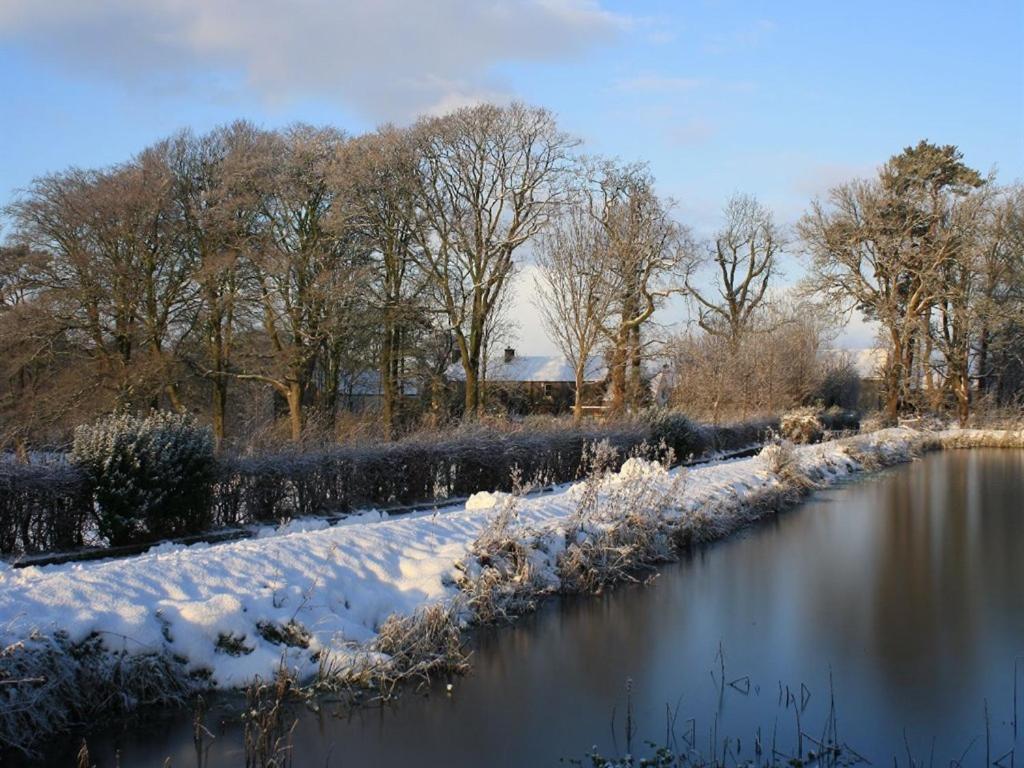 Ballylagan Organic Farm Straid  Buitenkant foto