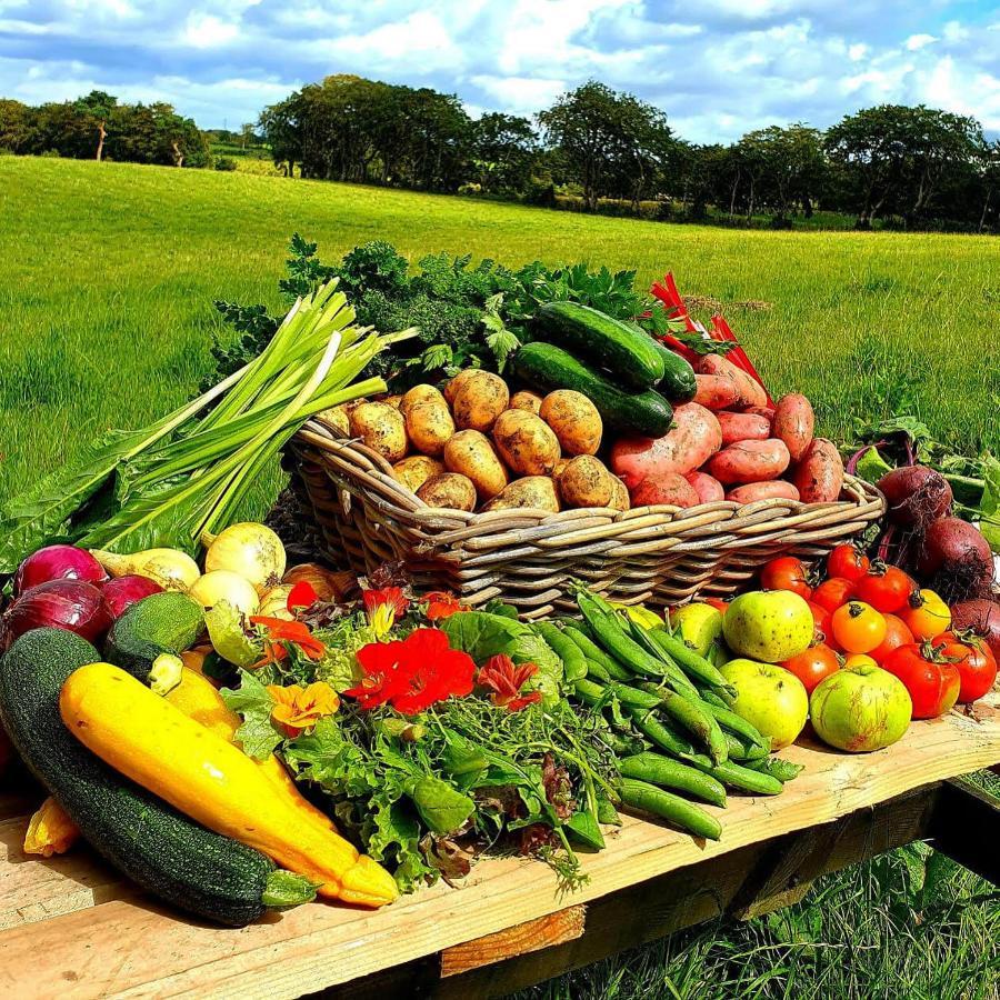 Ballylagan Organic Farm Straid  Buitenkant foto