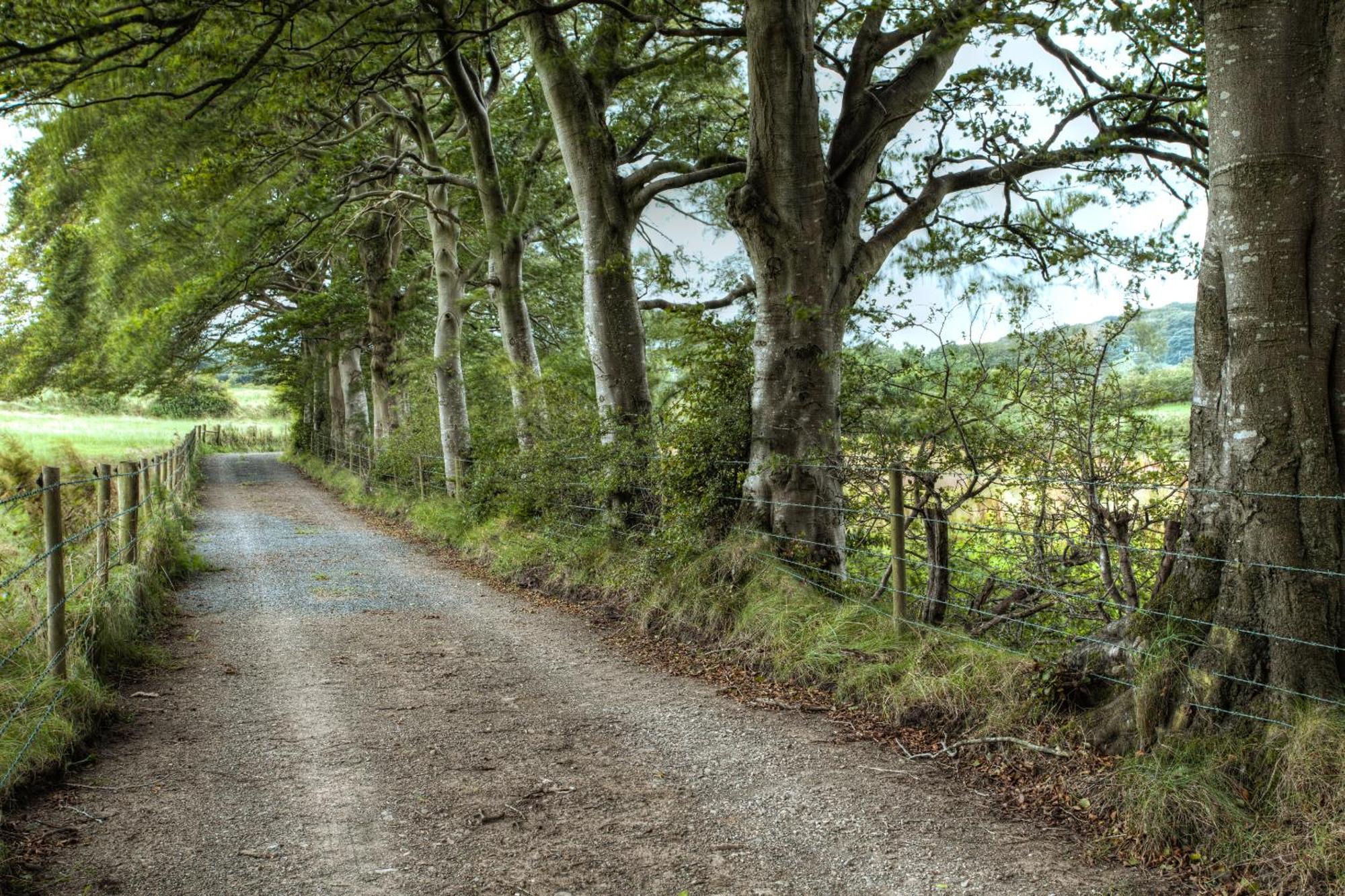 Ballylagan Organic Farm Straid  Kamer foto