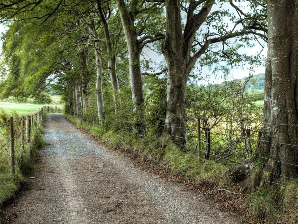 Ballylagan Organic Farm Straid  Buitenkant foto