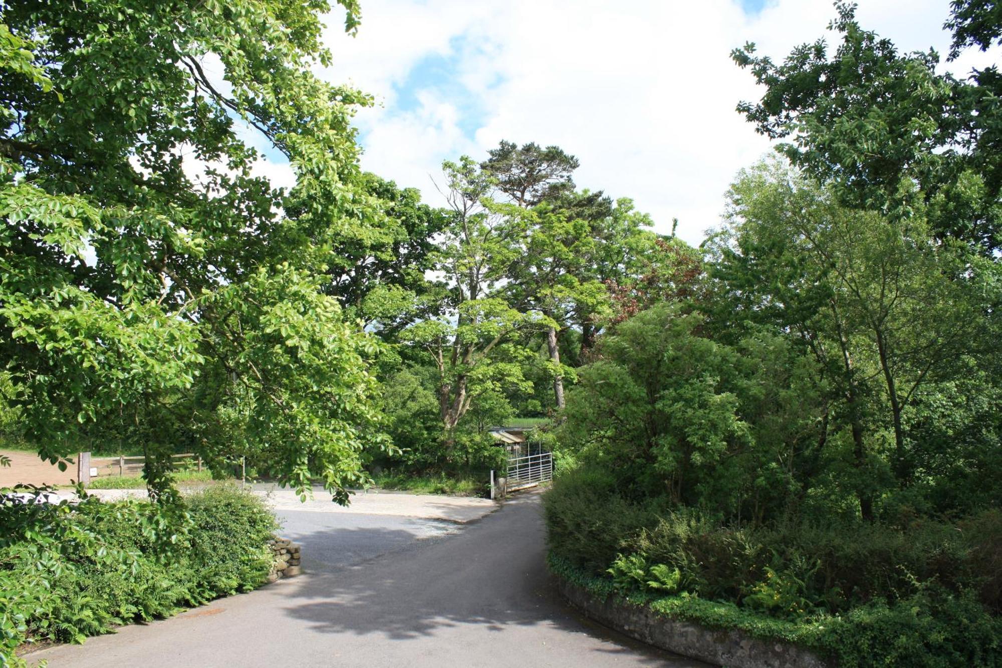 Ballylagan Organic Farm Straid  Buitenkant foto