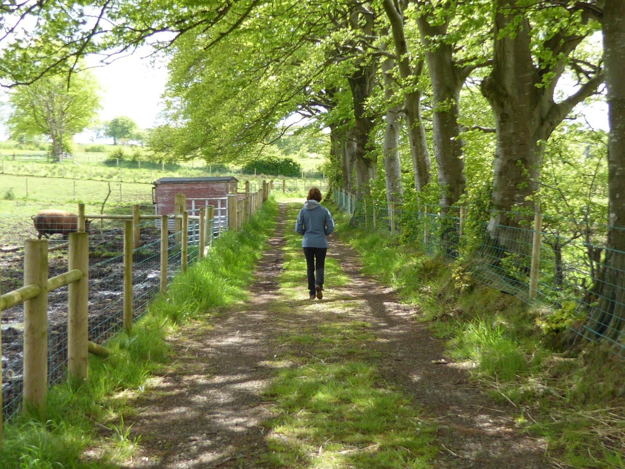 Ballylagan Organic Farm Straid  Kamer foto